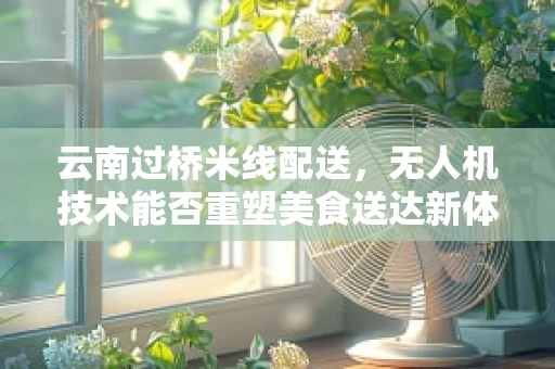 云南过桥米线配送，无人机技术能否重塑美食送达新体验？