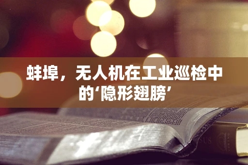蚌埠，无人机在工业巡检中的‘隐形翅膀’