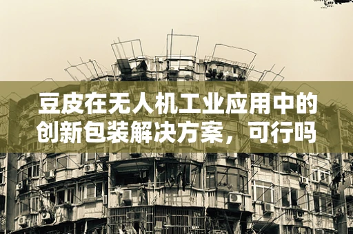 豆皮在无人机工业应用中的创新包装解决方案，可行吗？