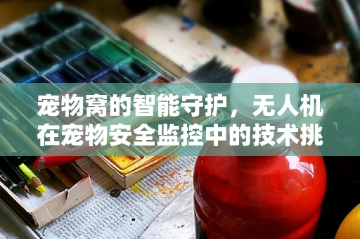 宠物窝的智能守护，无人机在宠物安全监控中的技术挑战与解决方案