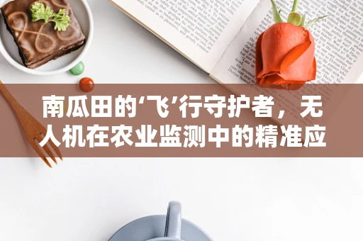 南瓜田的‘飞’行守护者，无人机在农业监测中的精准应用？