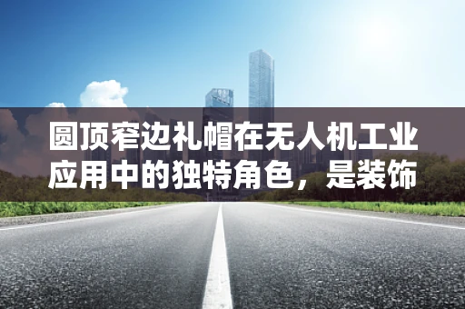 圆顶窄边礼帽在无人机工业应用中的独特角色，是装饰还是功能？