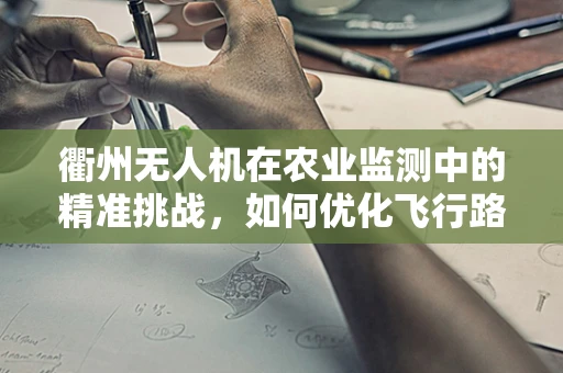 衢州无人机在农业监测中的精准挑战，如何优化飞行路径以提升数据采集效率？