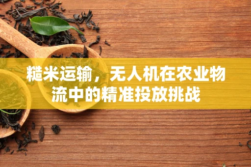 糙米运输，无人机在农业物流中的精准投放挑战