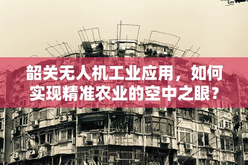 韶关无人机工业应用，如何实现精准农业的空中之眼？