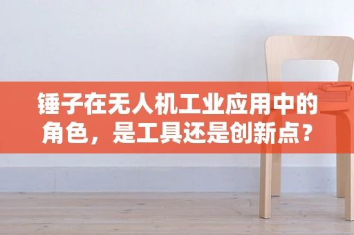 锤子在无人机工业应用中的角色，是工具还是创新点？