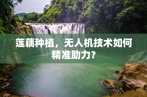 莲藕种植，无人机技术如何精准助力？