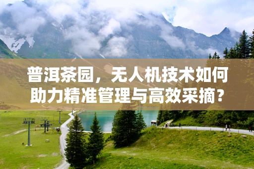 普洱茶园，无人机技术如何助力精准管理与高效采摘？