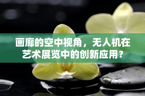 画廊的空中视角，无人机在艺术展览中的创新应用？