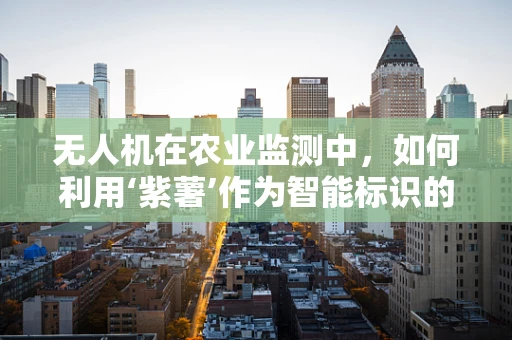 无人机在农业监测中，如何利用‘紫薯’作为智能标识的创意应用？