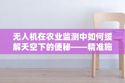 无人机在农业监测中如何缓解天空下的便秘——精准施肥的挑战与机遇