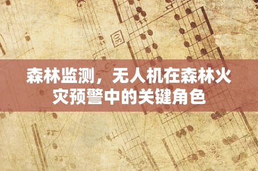 森林监测，无人机在森林火灾预警中的关键角色