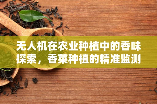 无人机在农业种植中的香味探索，香菜种植的精准监测挑战