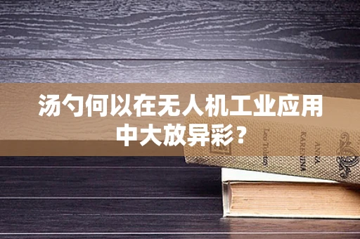 汤勺何以在无人机工业应用中大放异彩？