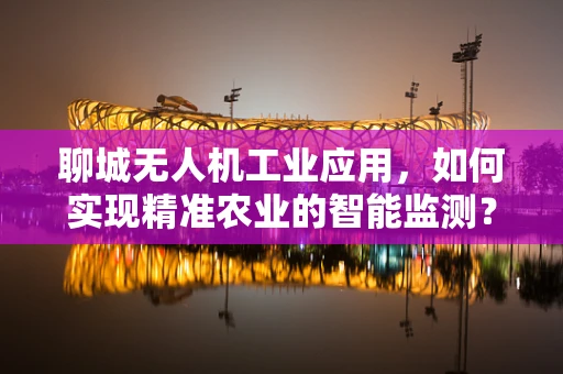 聊城无人机工业应用，如何实现精准农业的智能监测？