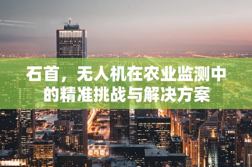 石首，无人机在农业监测中的精准挑战与解决方案