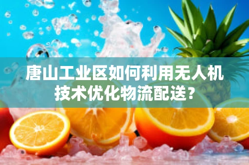 唐山工业区如何利用无人机技术优化物流配送？