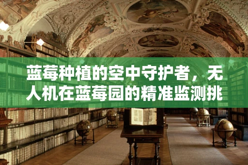 蓝莓种植的空中守护者，无人机在蓝莓园的精准监测挑战