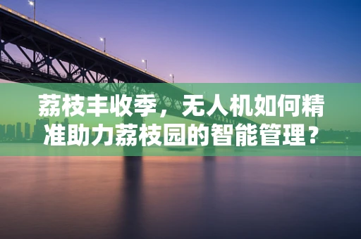 荔枝丰收季，无人机如何精准助力荔枝园的智能管理？