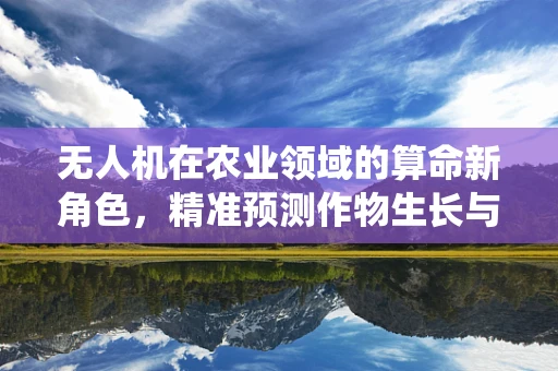 无人机在农业领域的算命新角色，精准预测作物生长与病虫害