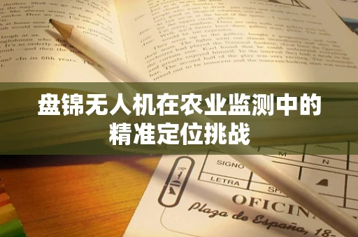 盘锦无人机在农业监测中的精准定位挑战