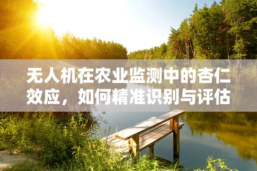 无人机在农业监测中的杏仁效应，如何精准识别与评估？