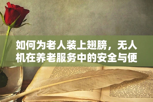 如何为老人装上翅膀，无人机在养老服务中的安全与便利性挑战？