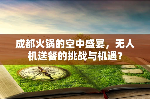 成都火锅的空中盛宴，无人机送餐的挑战与机遇？
