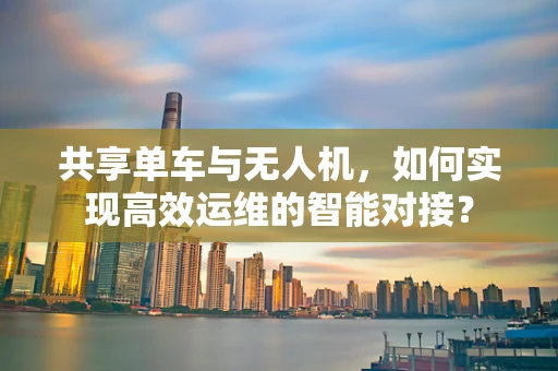 共享单车与无人机，如何实现高效运维的智能对接？