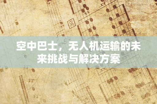空中巴士，无人机运输的未来挑战与解决方案