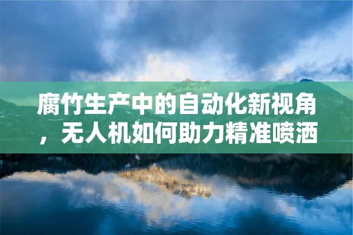 腐竹生产中的自动化新视角，无人机如何助力精准喷洒？