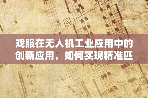 戏服在无人机工业应用中的创新应用，如何实现精准匹配与高效换装？