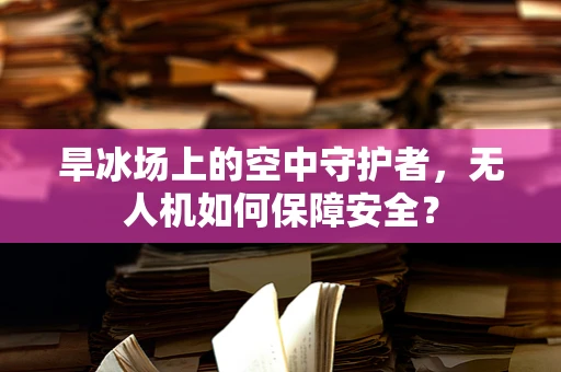 旱冰场上的空中守护者，无人机如何保障安全？
