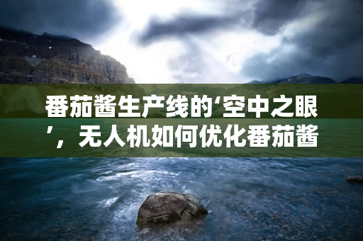 番茄酱生产线的‘空中之眼’，无人机如何优化番茄酱生产监控？