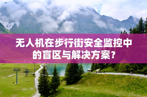 无人机在步行街安全监控中的盲区与解决方案？