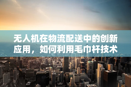 无人机在物流配送中的创新应用，如何利用毛巾杆技术优化货物固定？