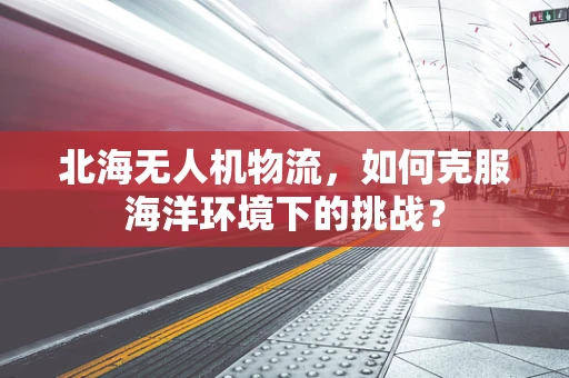 北海无人机物流，如何克服海洋环境下的挑战？
