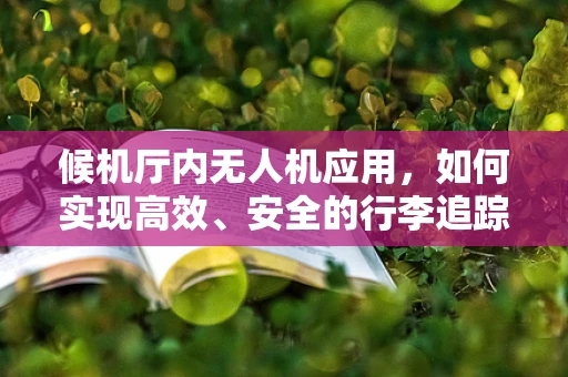 候机厅内无人机应用，如何实现高效、安全的行李追踪？