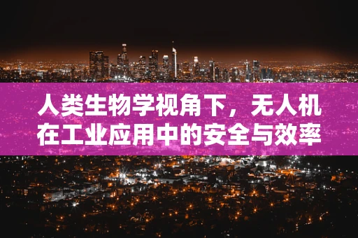 人类生物学视角下，无人机在工业应用中的安全与效率平衡挑战