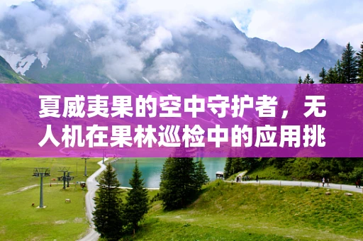 夏威夷果的空中守护者，无人机在果林巡检中的应用挑战