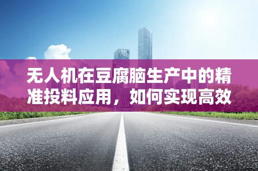 无人机在豆腐脑生产中的精准投料应用，如何实现高效、无损的食材配送？
