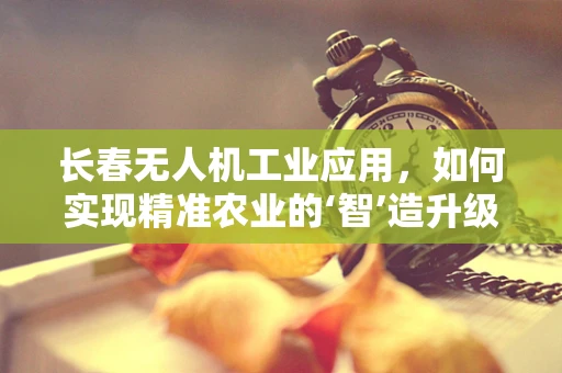 长春无人机工业应用，如何实现精准农业的‘智’造升级？