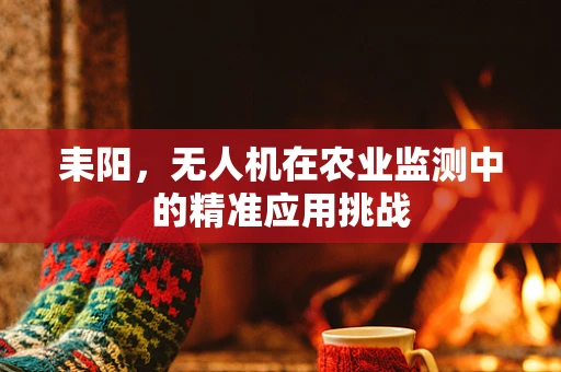 耒阳，无人机在农业监测中的精准应用挑战