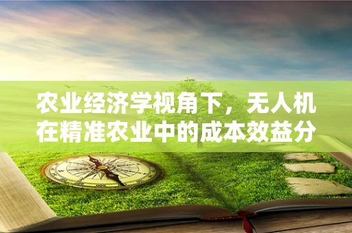 农业经济学视角下，无人机在精准农业中的成本效益分析如何？