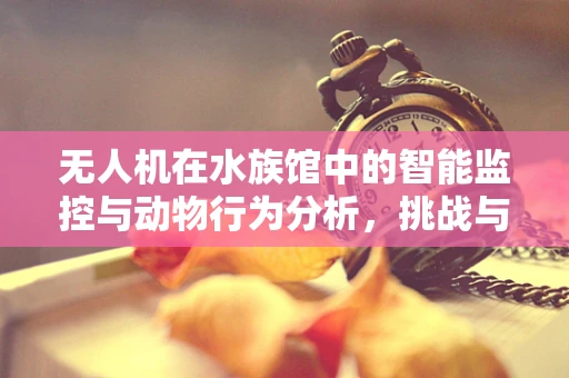 无人机在水族馆中的智能监控与动物行为分析，挑战与机遇并存？