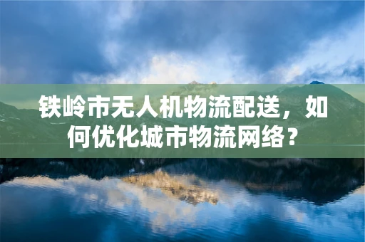 铁岭市无人机物流配送，如何优化城市物流网络？