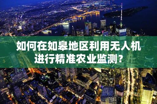 如何在如皋地区利用无人机进行精准农业监测？