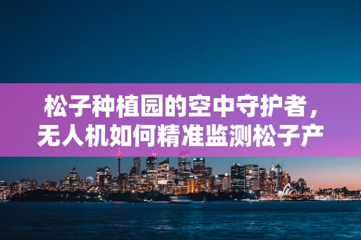 松子种植园的空中守护者，无人机如何精准监测松子产量？