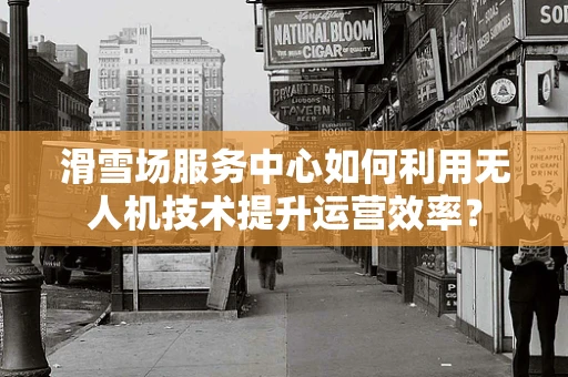 滑雪场服务中心如何利用无人机技术提升运营效率？
