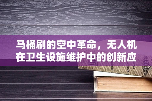 马桶刷的空中革命，无人机在卫生设施维护中的创新应用？